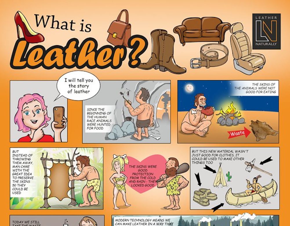 The Origins of Leather Explained 